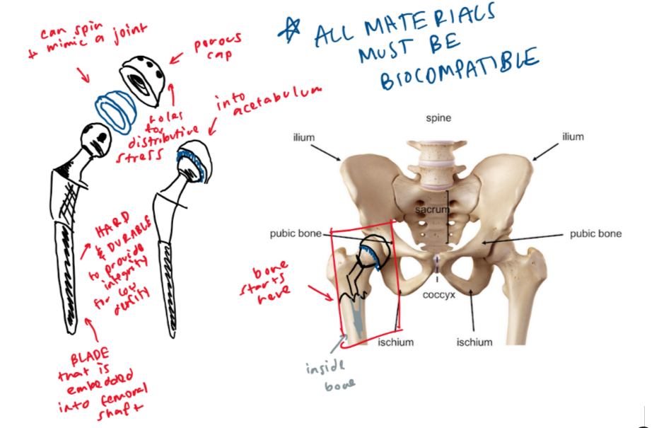 Preliminary concept sketch