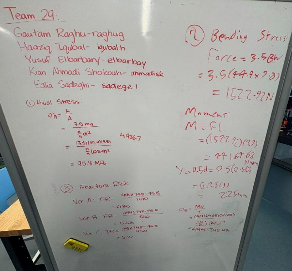 Stress and strain calculations